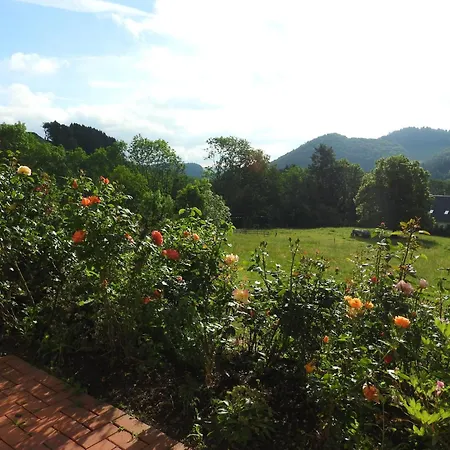 Daire In Deifeld Near Resorts, Cleaning Included *