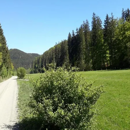 Apartmán In Deifeld Near Resorts, Cleaning Included Medebach