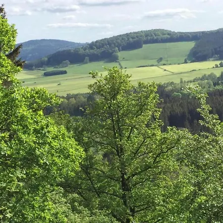 In Deifeld Near Resorts, Cleaning Included Medebach
